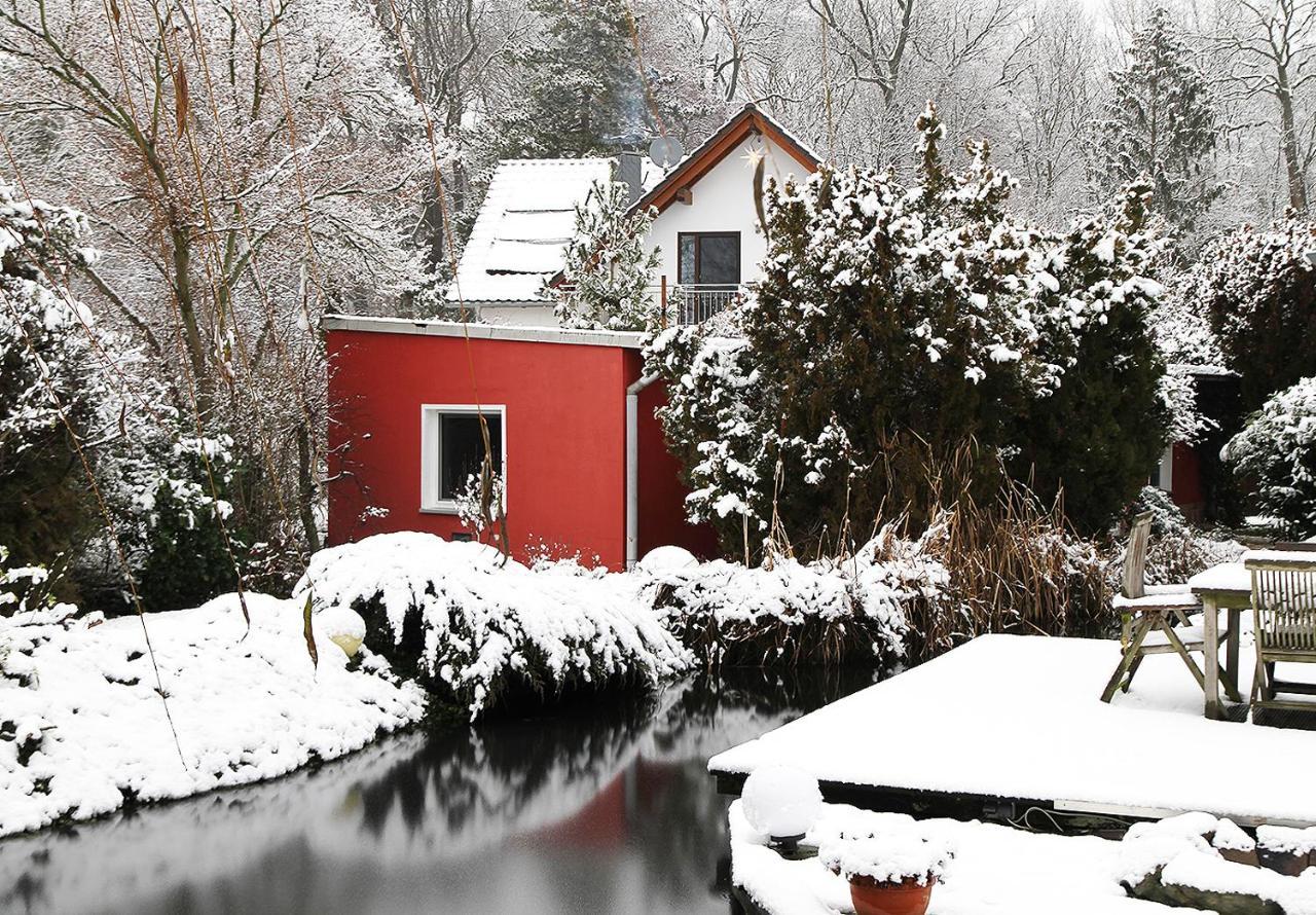 Haus Mit Kunst Zwischen Wald Und See Lipsko Exteriér fotografie